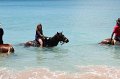 Cruise 2011 370